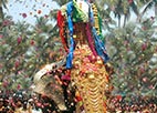 Attukal Devi Procession